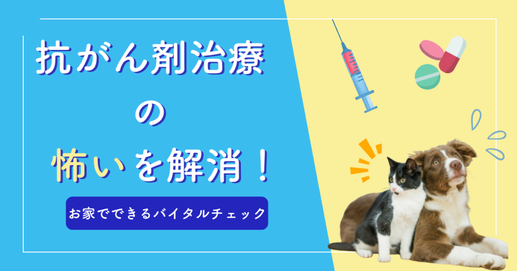 犬・猫の抗がん剤治療（化学療法）｜治療の目的・副作用・ご家庭で