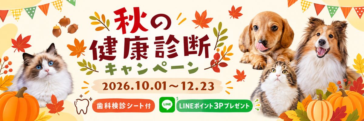 ワンちゃんの秋の健康診断キャンペーン実施中!